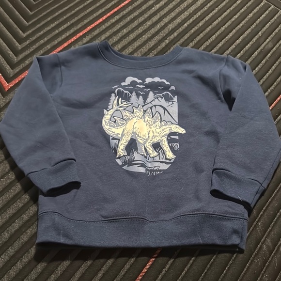 Kids Dinosaur Graphic Sweatshirt - Blue - Picture 1 of 3